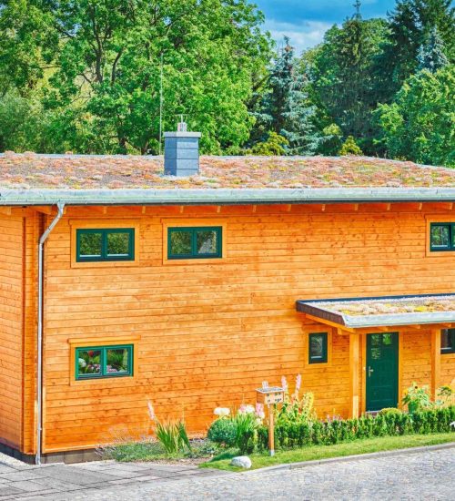 Leonwood_Blockhaus_Alpina-One_1713HH_03_Aussenansicht_02_rgb