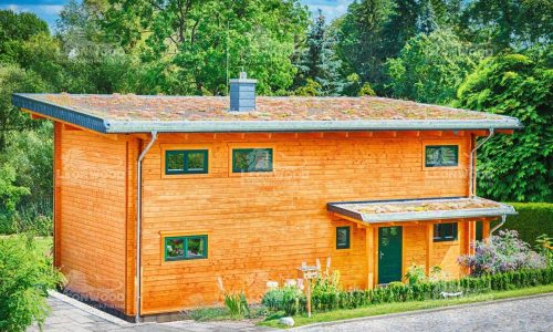 Leonwood_Blockhaus_Alpina-One_1713HH_03_Aussenansicht_02_rgb